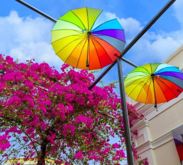 Zwei bunte Regenschirme hängen über einer blühenden Bougainvillea-Pflanze in einem urbanen Bereich.