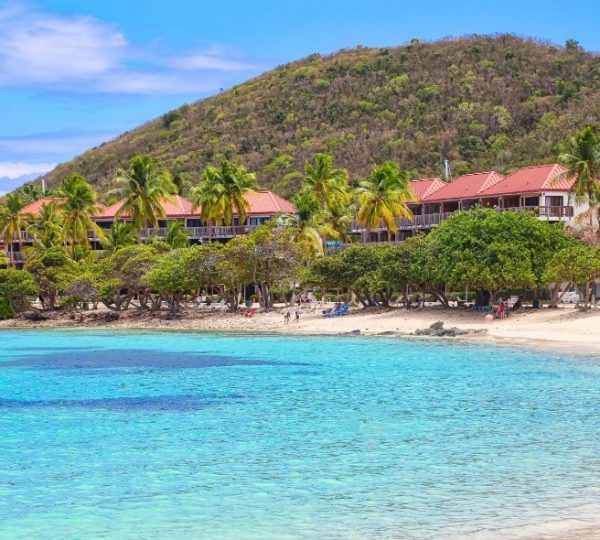 Strandansicht in St. Thomas mit klarem Wasser, Palmen und einem Hügel im Hintergrund.
